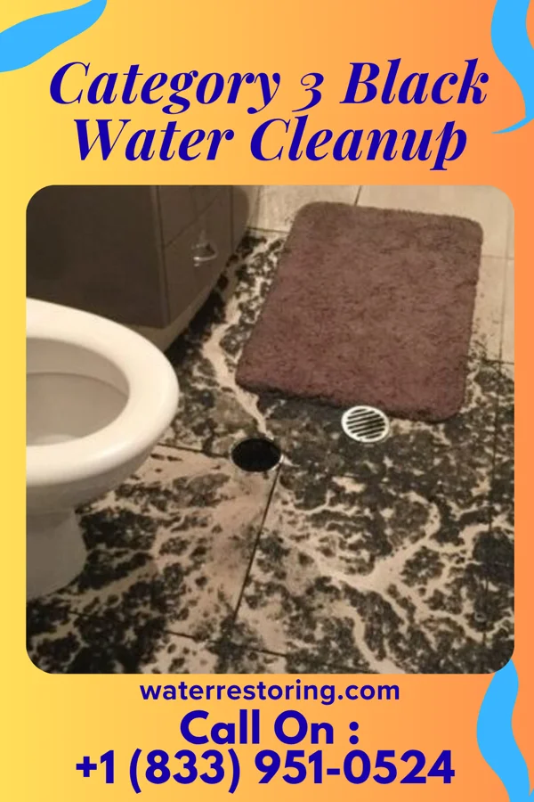 Category 3 Black Water Cleanup in White Earth, ND